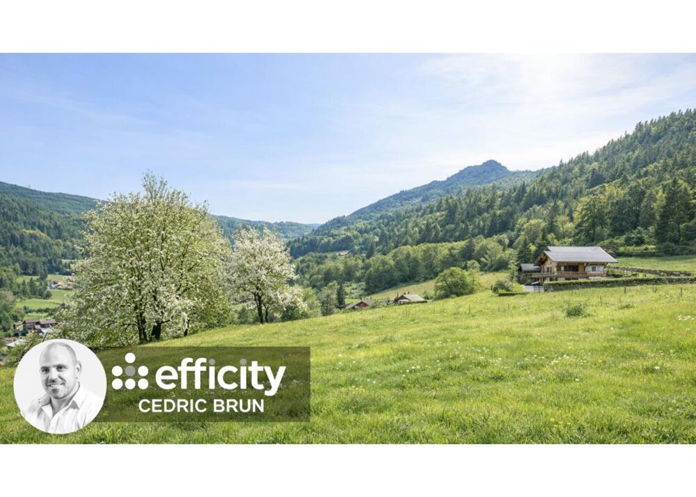 Vente Terrain Terrain Brizon