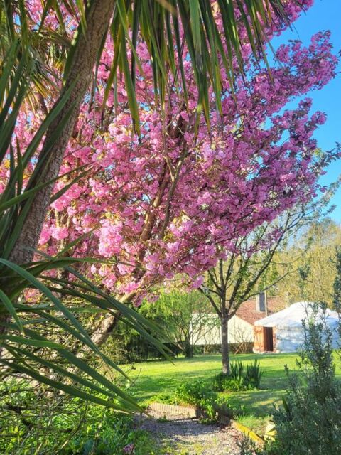   Maison  11 pi�ce(s) 320 m2 Maison - 11 pi�ce(s) - 320 m�