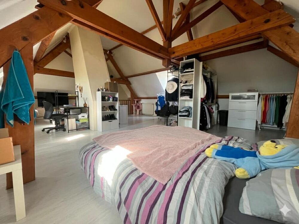 � vendre  Propri�t�/ch�teau Br�tigny-sur-Orge (91220)