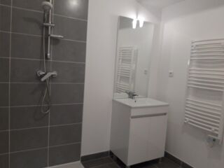  Appartement à louer 1 pièce 30 m²