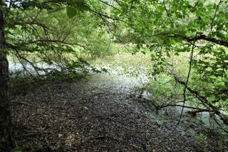  Terrain � vendre 464000 m�