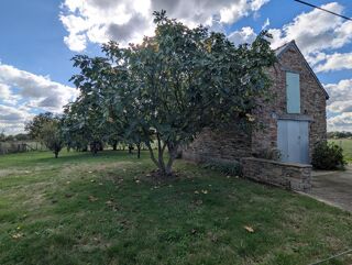 Vente Maison Maison  6 pièce(s) 127.80 m2, terrain 3674m² Campbon