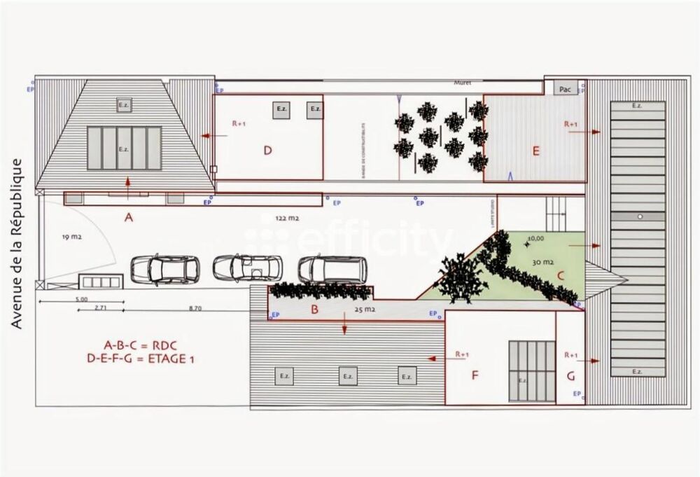 à vendre  Duplex/triplex Saint-Maur-des-Fossés (94100)