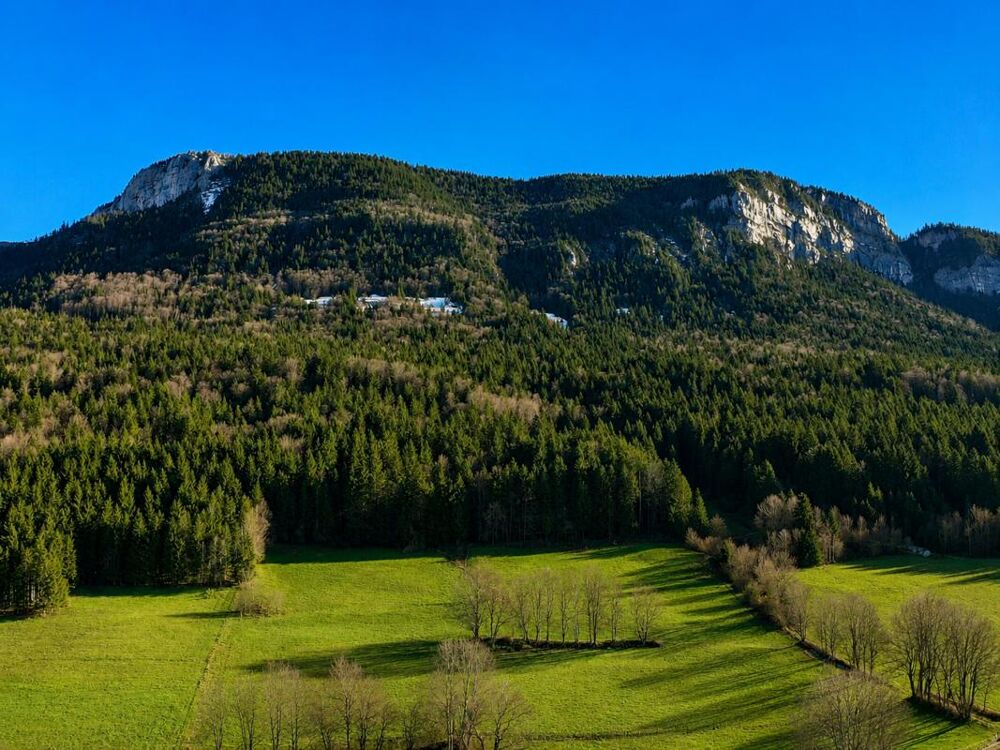 Vente Terrain Terrain à bâtir Saint julien en vercors