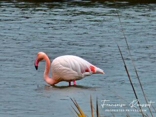  Appartement � vendre 1 pi�ce 27 m�
