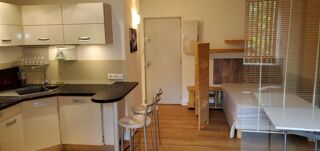  Appartement à louer 1 pièce 30 m²