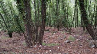  Terrain � vendre 16225 m�