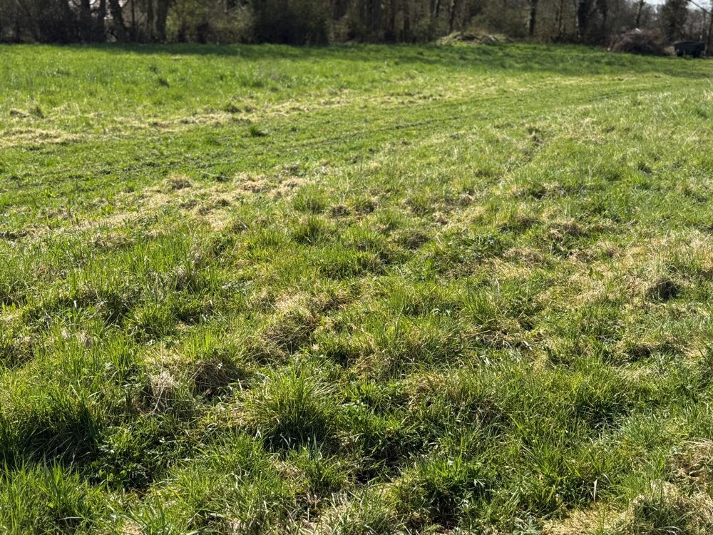 Vente Terrain Terrain à vendre de 2 311,00 m² CROISY SUR ANDELLE (76) Croisy sur andelle