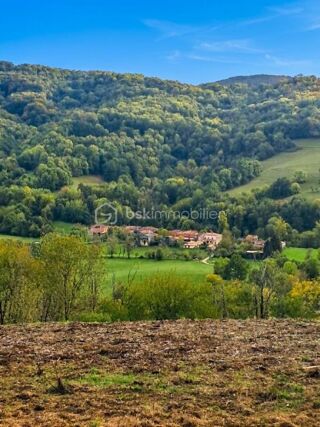 Vente Maison Cadarcet 09240 : Ensemble en pierre - Maison, dépendances et 1 300m² de terrain Cadarcet