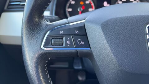 Arona I 1.6 TDI 95 Xcellence 2019 occasion 01170 Cessy