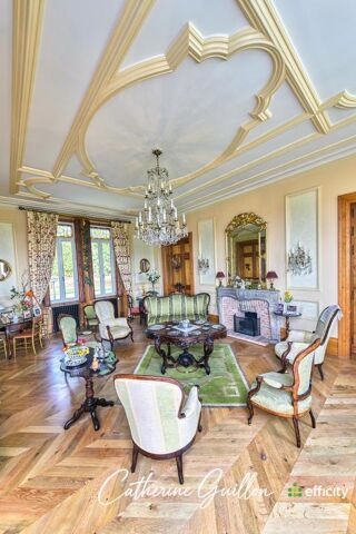  Propriété/château à vendre 15 + pièces 560 m²