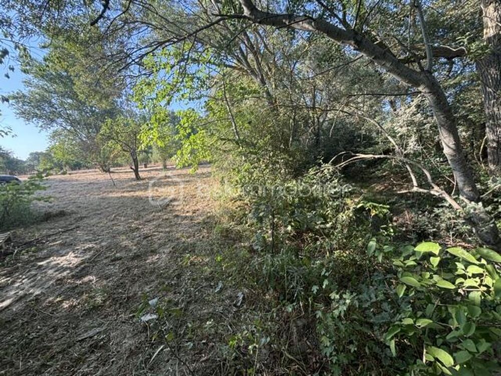 Vente Terrain BRUGAIROLLES - TERRAIN DE LOISIRS Brugairolles