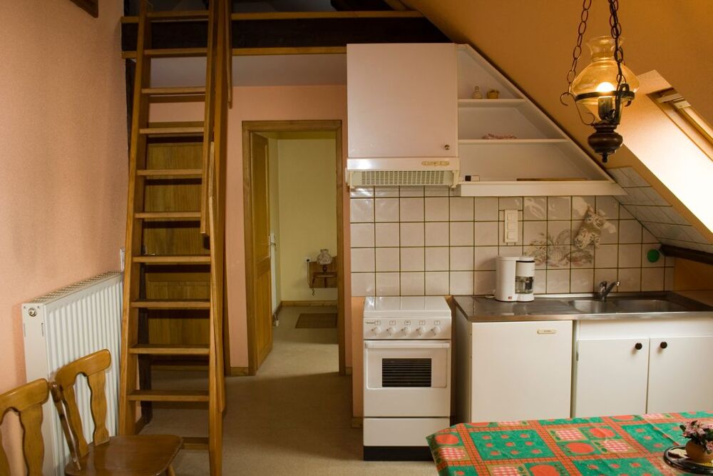 Location Appartement Appartement de 50m2 à louer sur Beblenheim Beblenheim