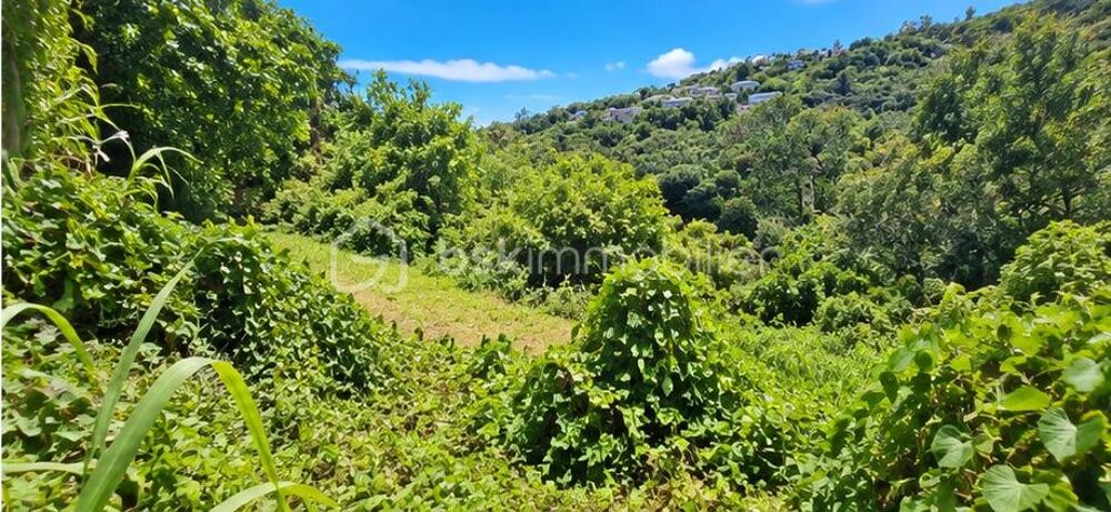 Vente Terrain La Montagne – Saint-Bernard Saint denis