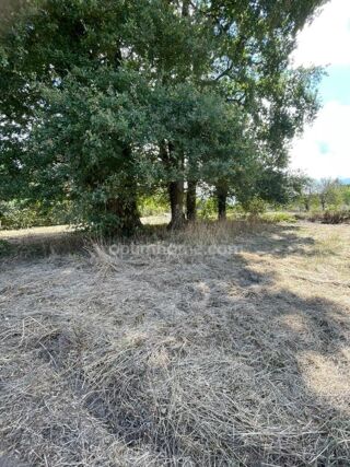  Terrain à vendre 1695 m²