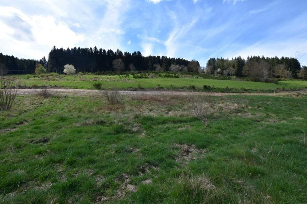 Vente Terrain Terrain à vendre de 1 018,00 m² DUNIERES (43) Vue dégagée – Cadre paisible – Proche commodités Dunieres