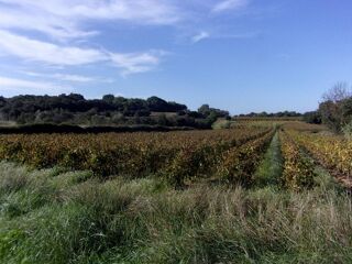  Terrain � vendre 2300 m�