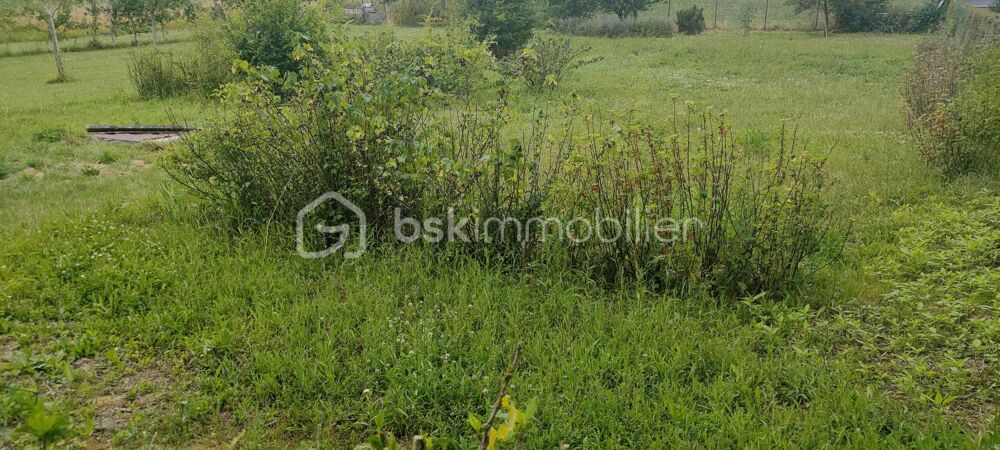Vente Terrain Terrain constructible dans un cadre verdoyant Fismes