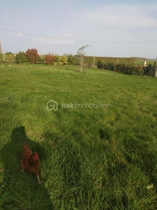  Terrain � vendre 501 m�