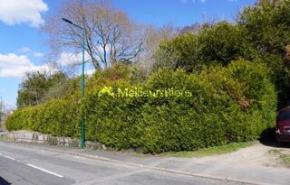  Terrain � vendre 564 m�