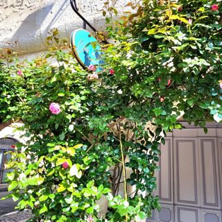  Immeuble � vendre 300 m�