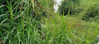  Terrain  vendre 5303 m