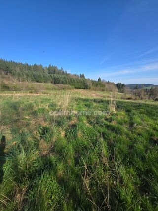  Terrain � vendre 2911 m�