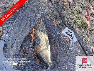  Terrain � vendre 1 pi�ce 5000 m�