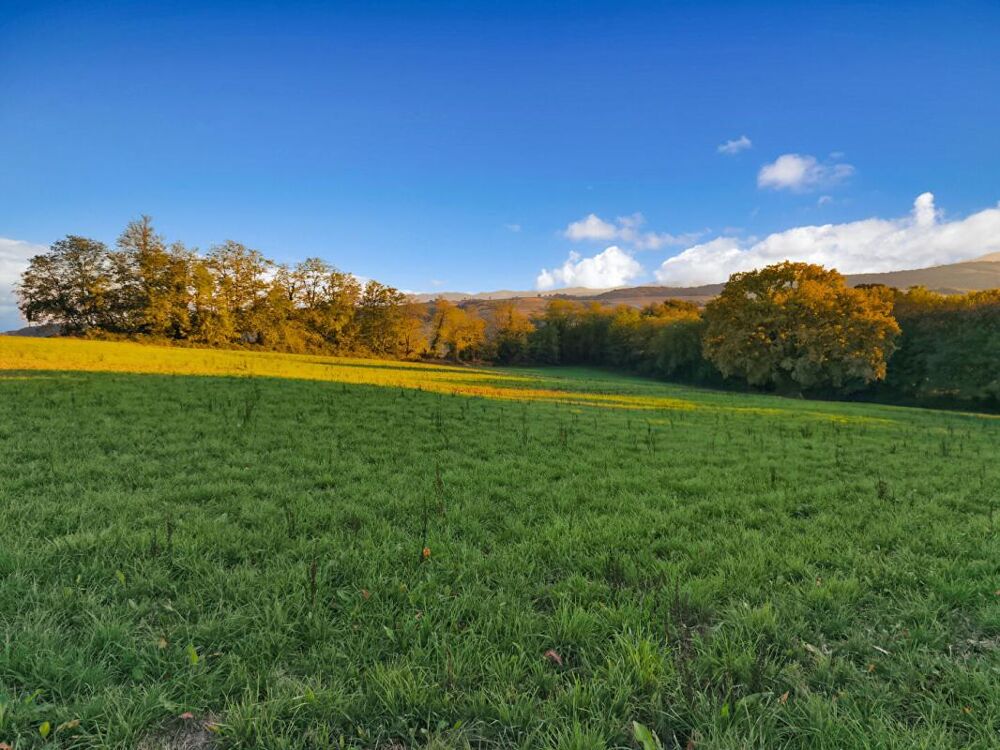 Vente Terrain terrain constructible  3 HA vue montagnes Bidache
