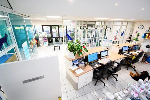 CLINIQUE V&Eacute;T&Eacute;RINAIRE DE 300 M&sup2; SUR TERRAIN DE 1 194 M&sup2; – LONGWY 624000 54400 Longwy