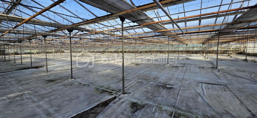 Vente Terrain Terrain agricole avec Bâtiments – Zone Ah – 17 000 m² – Proche Angers Angers