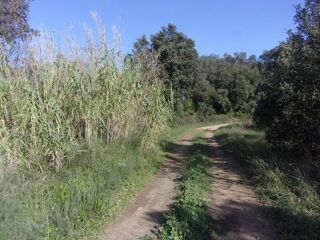  Terrain � vendre 6270 m�