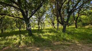  Terrain à vendre 1200 m²