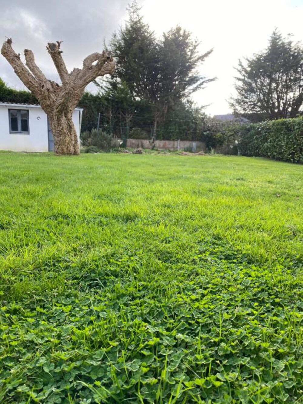 Vente Terrain Terrain Sene 281 m2 bourg Sene