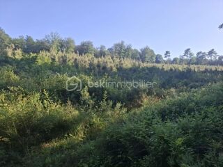  Terrain à vendre 3321 m²