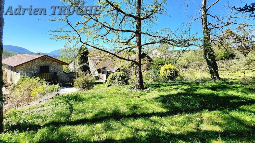 Maison en pierre rénovée - Studio indépendant - Terrain arboré de 1491 m²