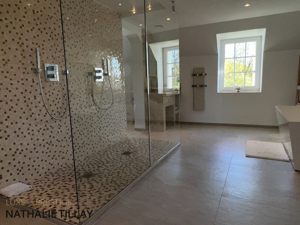 à vendre  Propriété/château Orléans (45000)