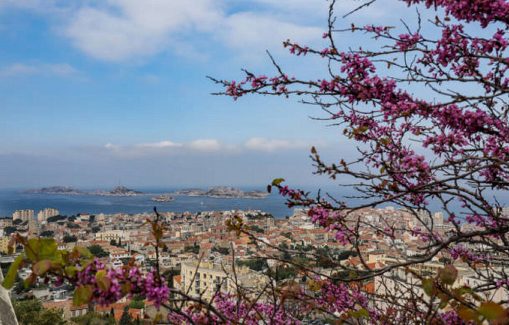 � vendre  Appartement Marseille 8