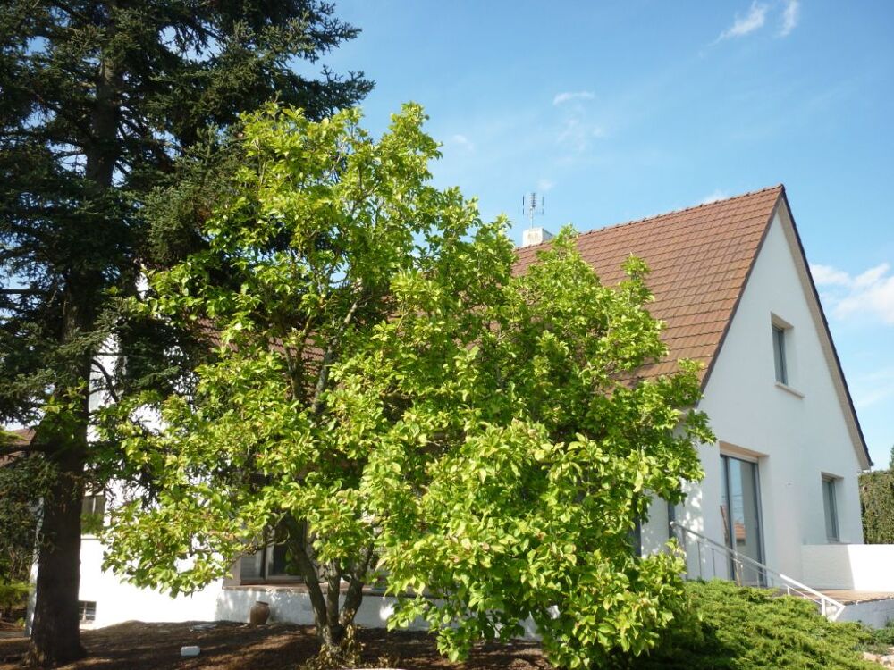 Maison Longvic 7 pièce(s) 160 m2