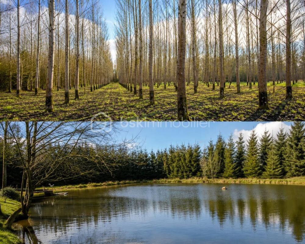 Vente Terrain ÉTANG 11a - PLEUPLIERS 1ha - Agréable terrain de loisir en forêt Epernay