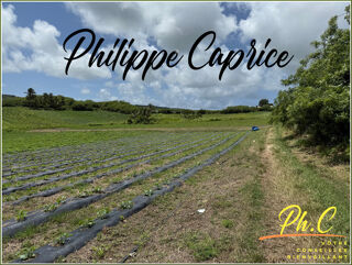  Terrain � vendre 2000 m�