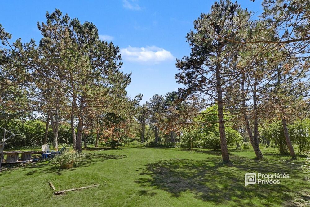 Vente Maison Maison Bessens ( Lapeyrière ) T6 avec piscine sur une parcelle de 5666 m2 Bessens