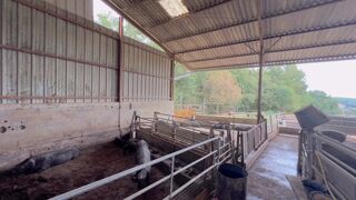  Propri�t�/ch�teau � vendre 5 pi�ces 100 m�