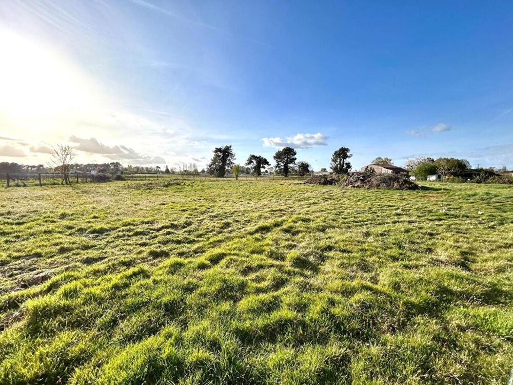 Vente Terrain Terrain  à bâtir pour locaux Industriels et Commerciaux   -  4724 m2 - LOTS C1 et C2 Pugnac