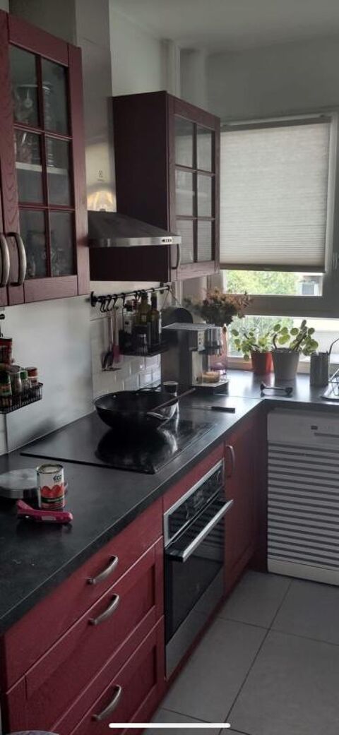  Appartement � louer 1 pi�ce 66 m�