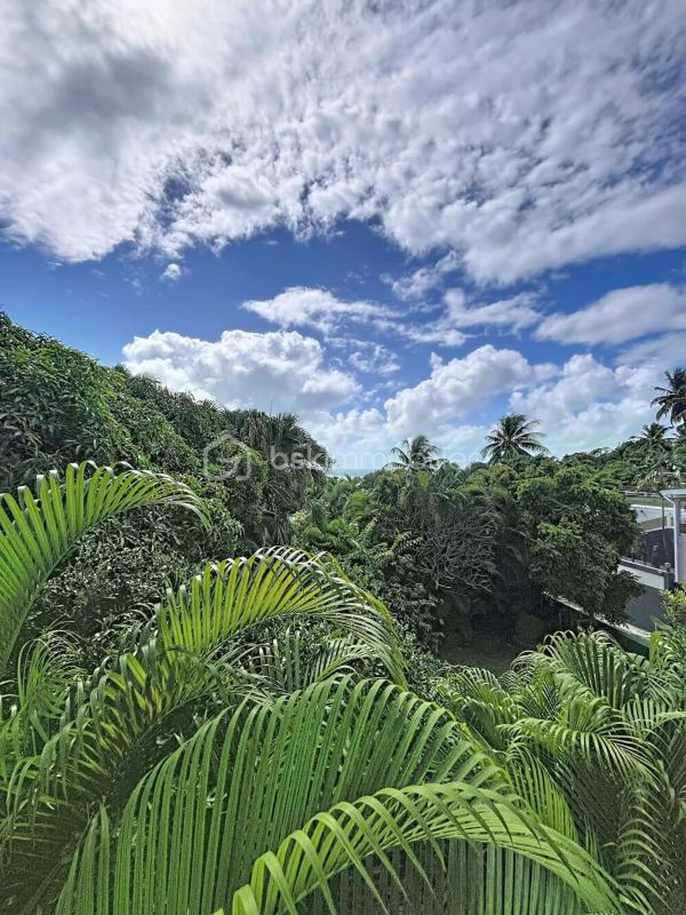 � vendre  Villa Le Gosier (97190)