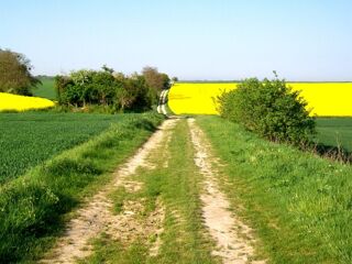  Terrain � vendre 363 m�
