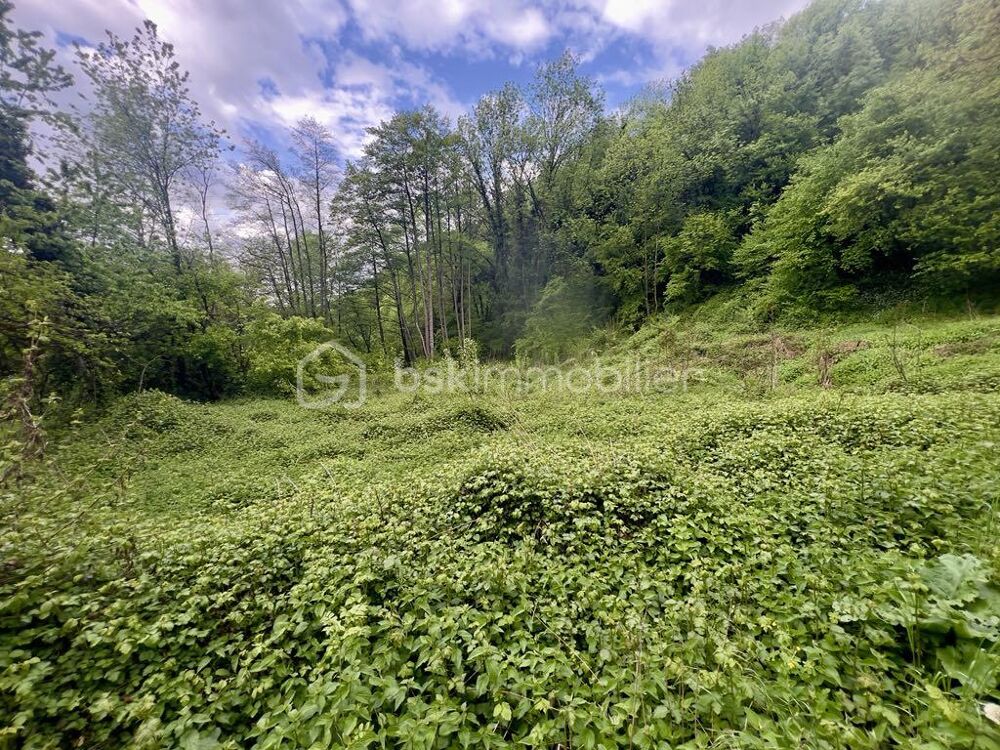 Vente Terrain TERRAIN DE 1646M² Les chavannes en maurienne