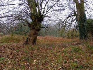  Maison � vendre 3 pi�ces 120 m�