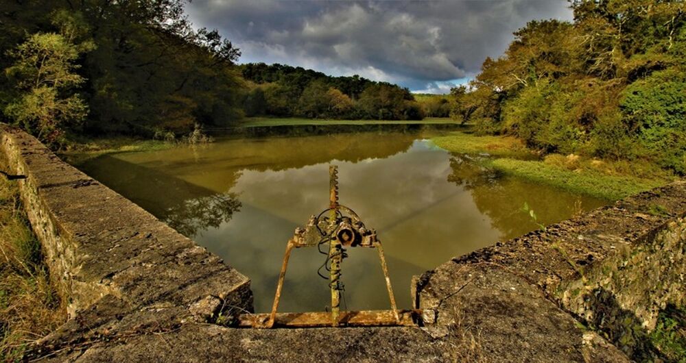  vendre  Proprit/chteau Saint-Martin-de-Seignanx (40390)